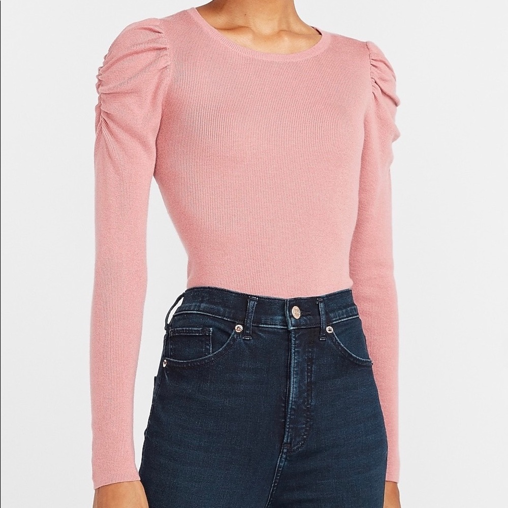 Express Velvet Rose Crew Neck Sweater